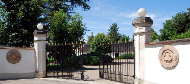 Grands chablis