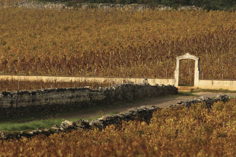 La Bourgogne à la une 