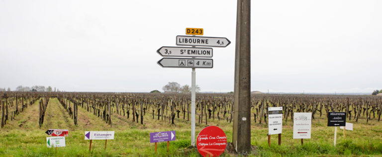 Le (bon) moral des vignerons