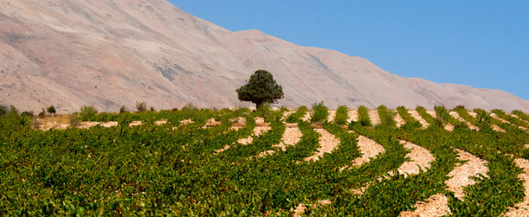 La journée du Liban