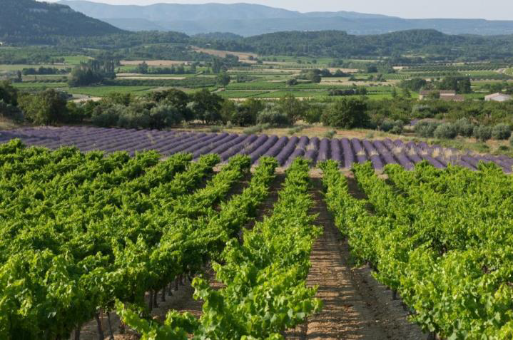 Qu’est-ce qu’on fait ce week-end ?