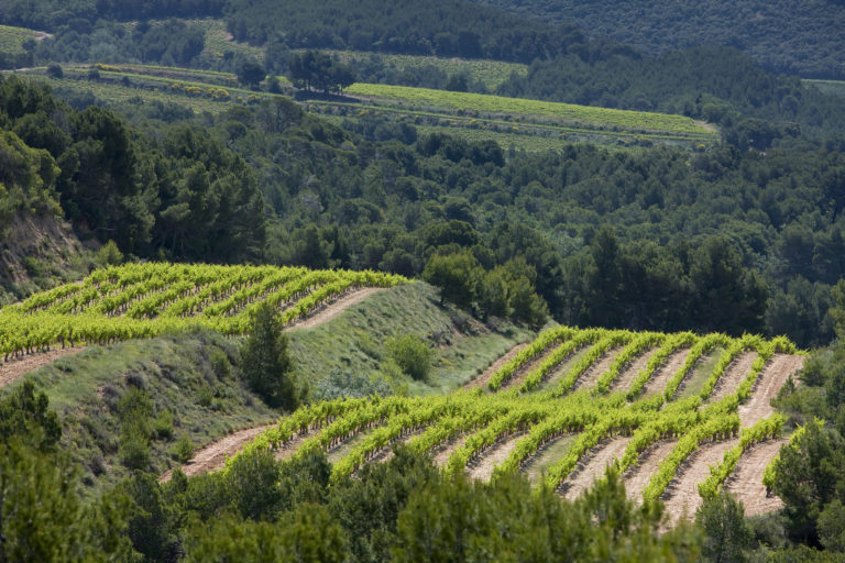 La rentrée côté Rhône