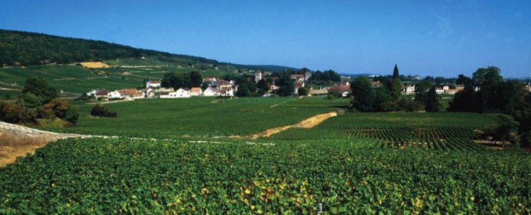 Gevrey-Chambertin : les premiers crus ne sont pas tous les mêmes