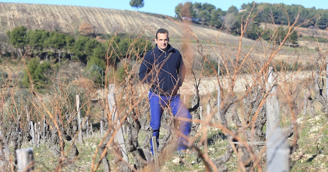 Jérôme Bressy, vigneron hors-norme