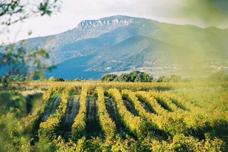 Bienvenue aux terrasses-du-larzac