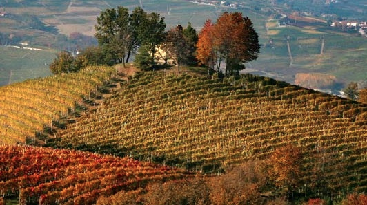 Le paysage viticole du Piémont inscrit au patrimoine mondial