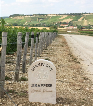 2014, vu par Champagne Drappier