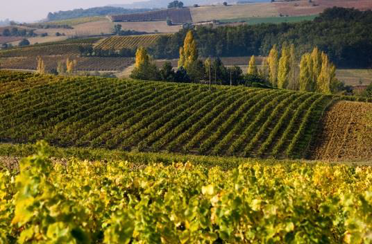 2014 au pays du braucol 