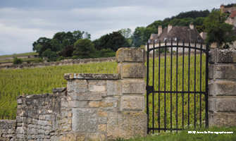 Domaine Moreau-Naudet