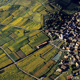 Domaine Meyer-Fonné