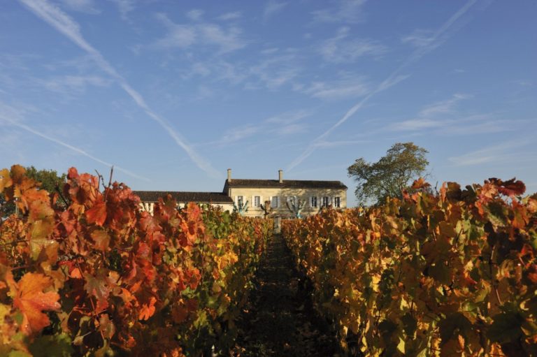 Un grand pomerol en verticale
