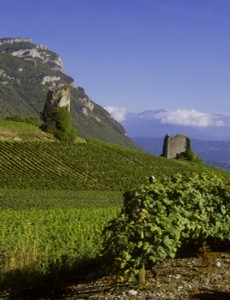 Domaine Jean-Pierre et Jean-François Quénard