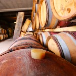Domaine Le Conte des Floris