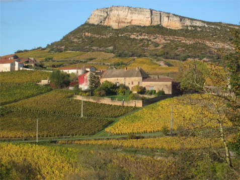 Domaine Saumaize-Michelin
