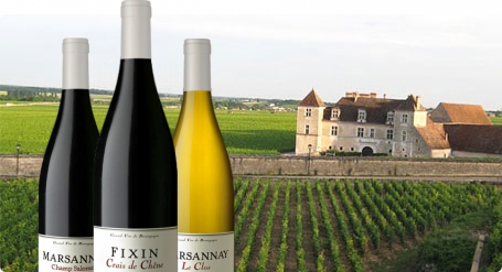 Domaine René Bouvier