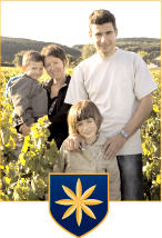 Domaine Vincent Dureuil-Janthial