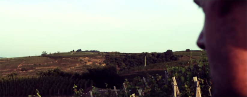 Domaine Michel et Stéphane Ogier