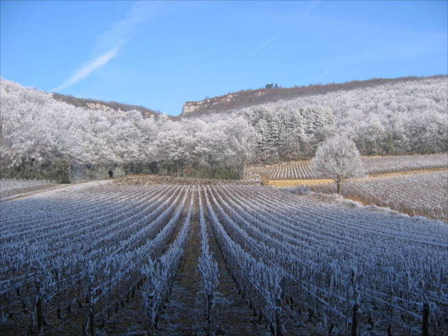 Domaine Harmand Geoffroy