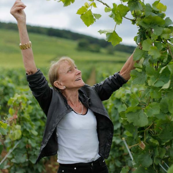 Domaine Leroy