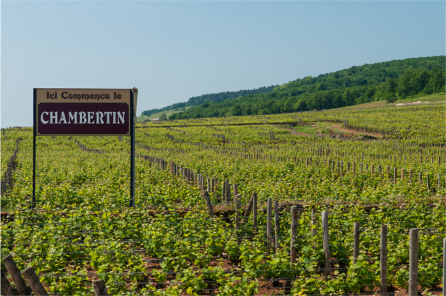 Chambertin, les vins références de Michel Bettane, première partie