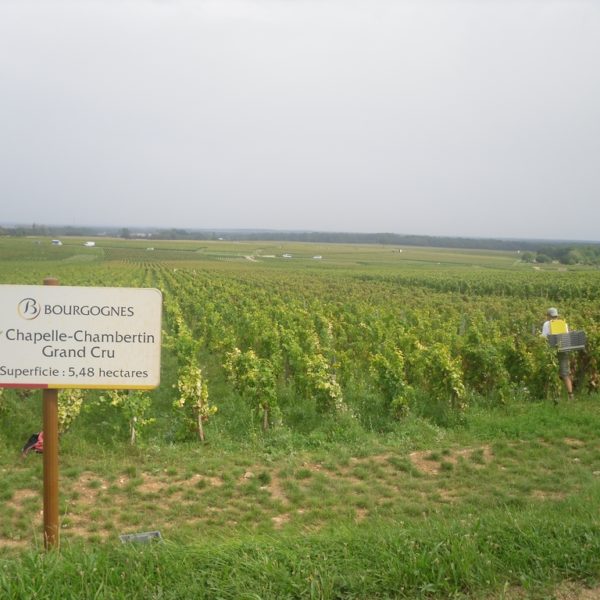 Domaine Cecile Tremblay 