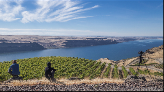 A votre avis, combien de pays produisent du vin dans le monde ?