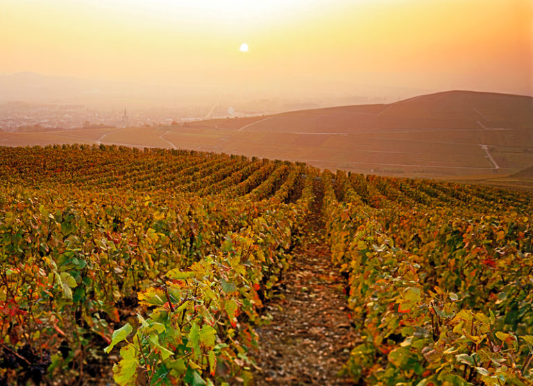 Les « Coteaux, caves, maisons de Champagne » et les « Climats de Bourgogne » bientôt au patrimoine mondial ?