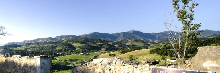 Les Clos de Paulilles se mettent en quatre