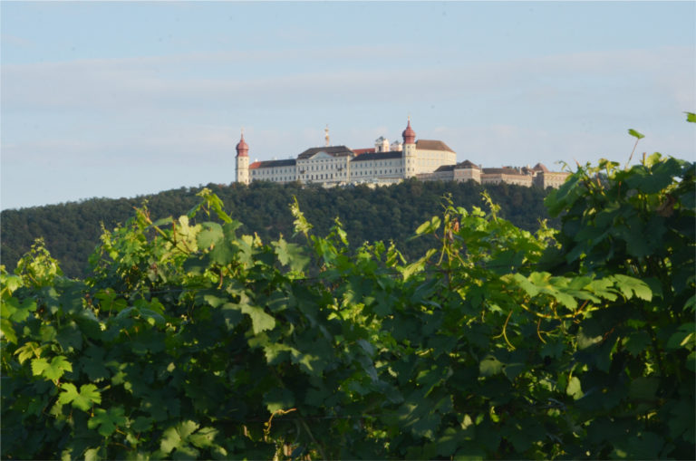 Saga Autriche : six vignerons au top, deuxième partie