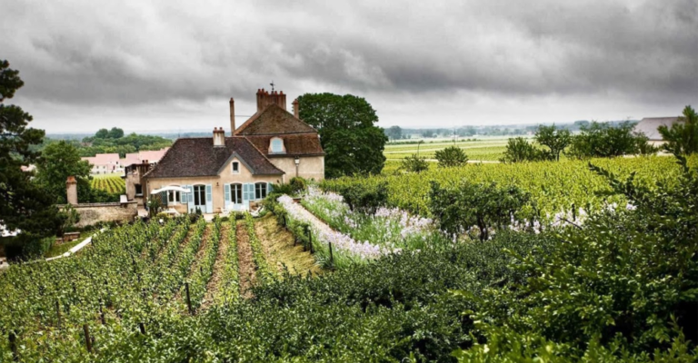 Domaine de l'Arlot : la verticale du Clos des Forêts Saint-Georges