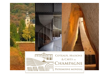 La nouvelle mission de Pierre-Emmanuel Taittinger