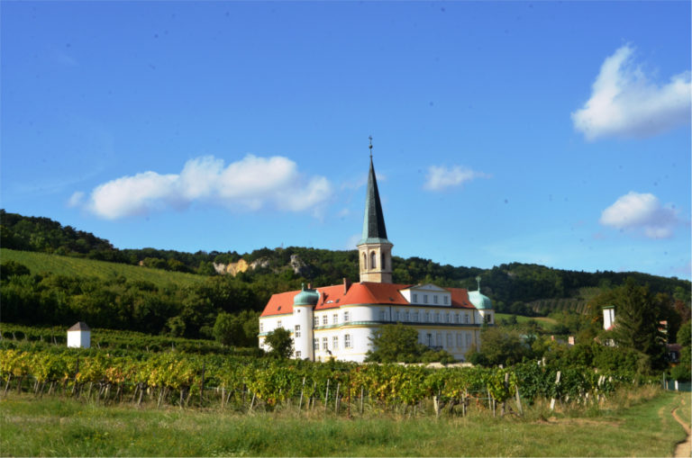 Vins d'Autriche, chapitre 2 : les deux stars, rotgipfler et zierfandler