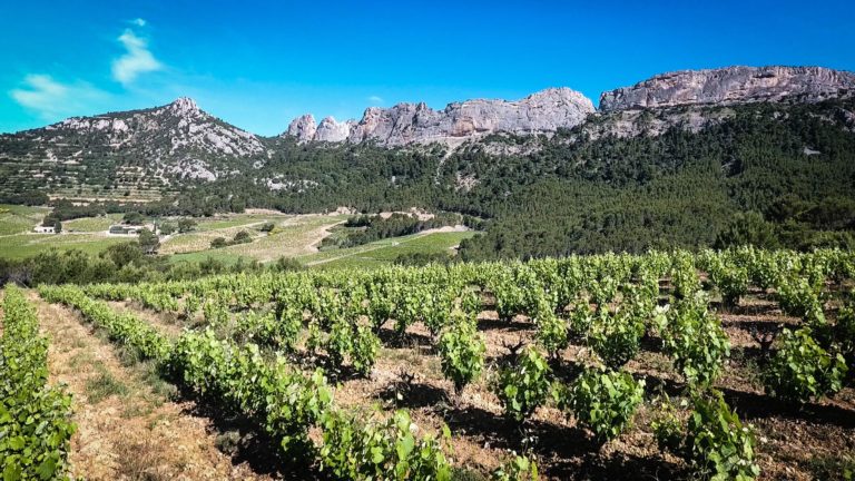 Deux hectares pour commencer