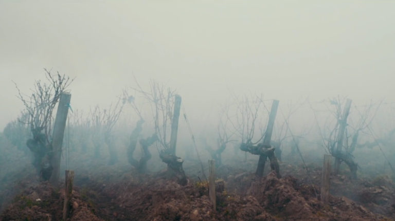 Potensac, un château "au milieu des eaux"