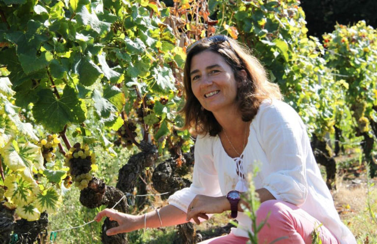 La nouvelle présidente des crus classés de Sauternes et Barsac