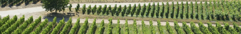 La route des blancs 