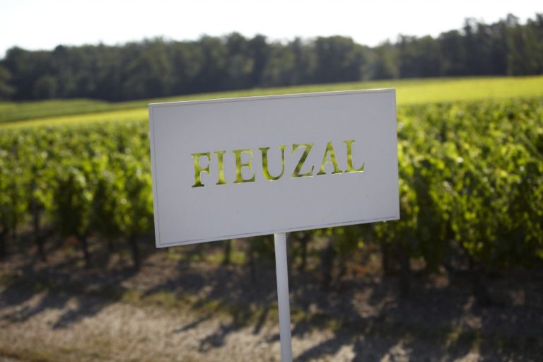 Pas de fieuzal 2017