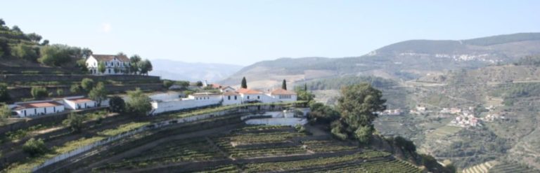Dans le Douro, AXA Millésimes s’agrandit