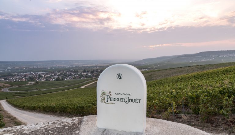 Quand le vignoble se raconte