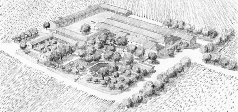 Le renouveau de Beaucastel