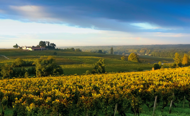 Un week-end couleur or
