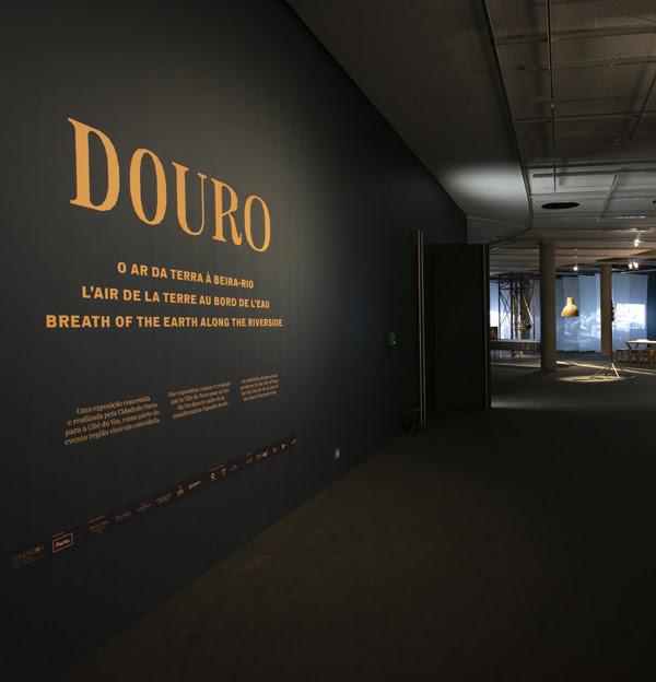 Sous le soleil du Douro
