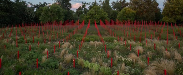Rendez-vous au jardin de Larrivet Haut-Brion