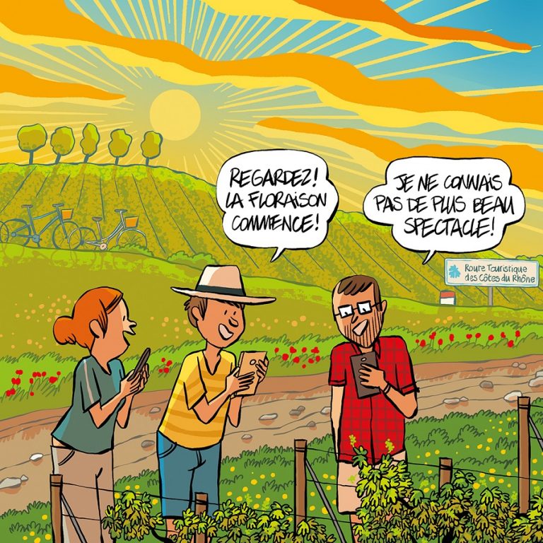Côtes-du-rhône, le dessin du mois