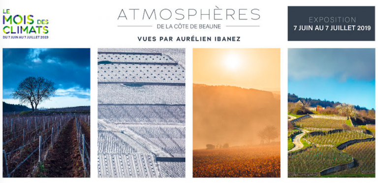 Les climats bourguignons par Aurélien Ibanez