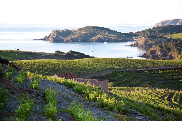 Les vignobles vus de la mer