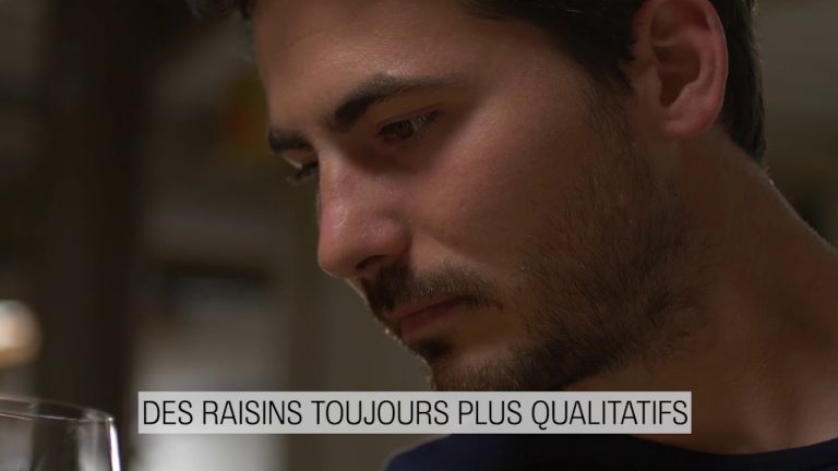 Parisiens, investissez dans la première cuvée 100 % issue de la région parisienne