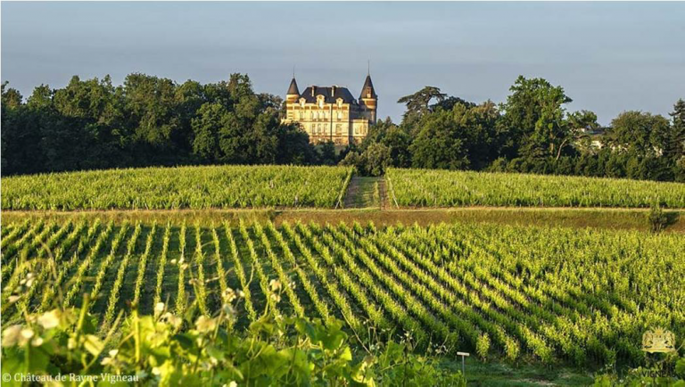 Sauternes et le Ciron vus d’en haut