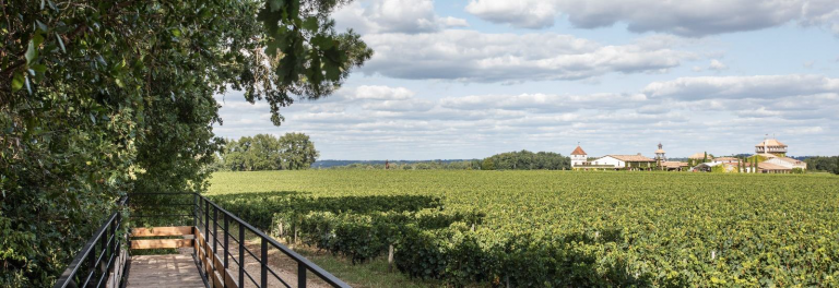 Le patrimoine vivant du château Smith Haut Lafitte