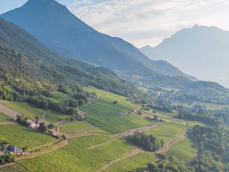 Les 12 apôtres des vins de Savoie
